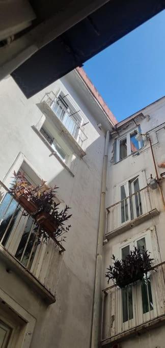 Modern Hospitality Naples Exclusive Stay Εξωτερικό φωτογραφία